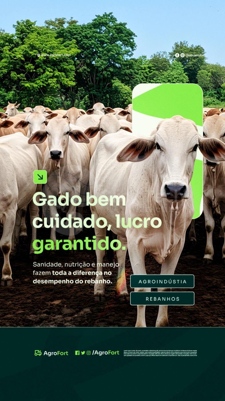 Gado bem cuidado lucro garantido