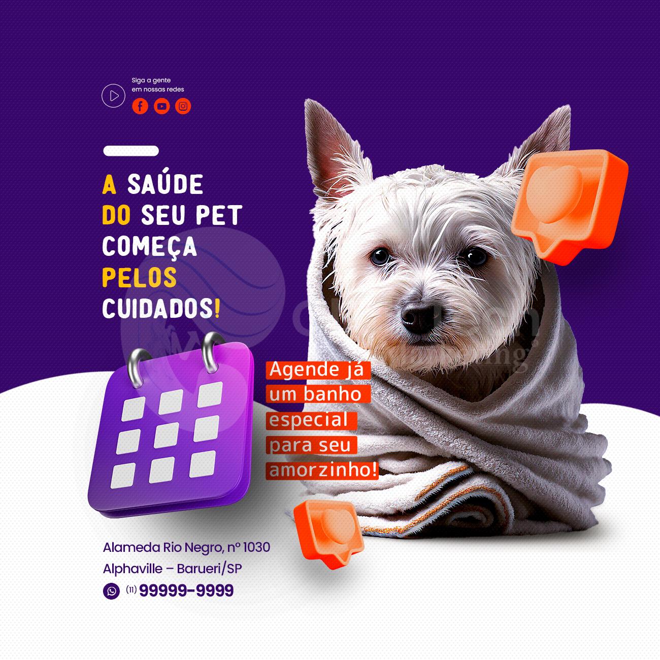 A saúde do seu pet