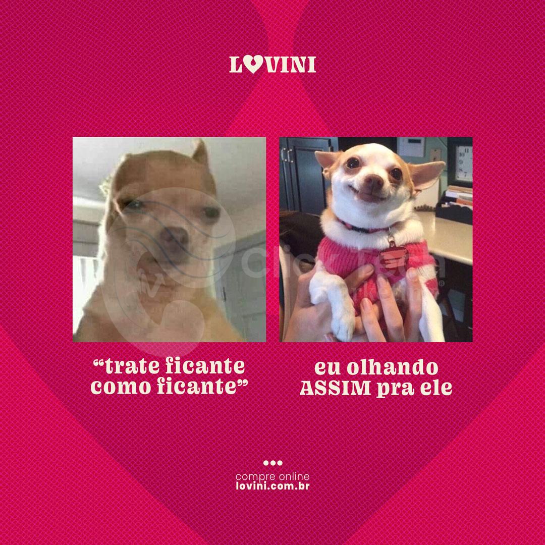 Trate ficante como ficante