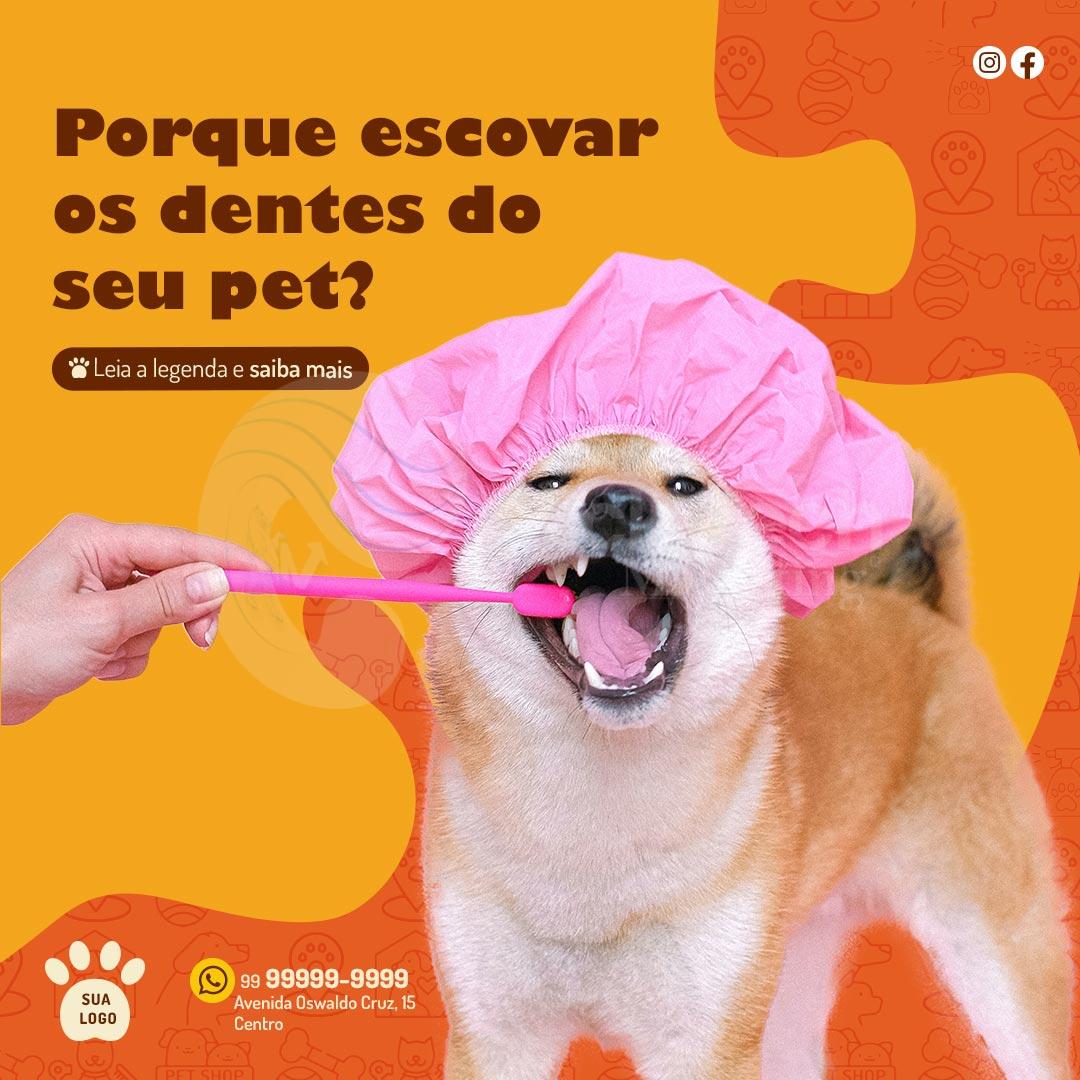 Porque escova os dentes do seu pet